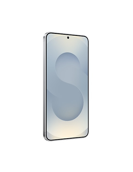 Samsung Galaxy S25 128GB Silver Shadow E