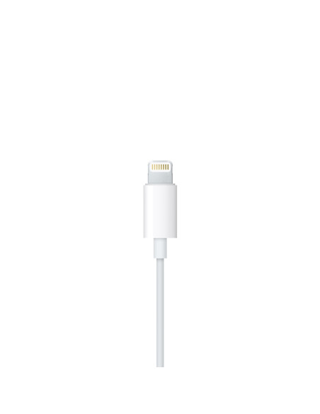 Apple EarPods with Lightning Connector