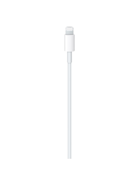 Apple USB-C to Lightning Cable 1 m White
