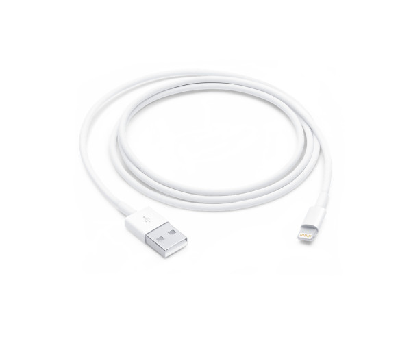 Apple Lightning to USB Cable 1m