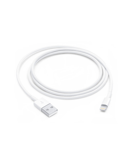 Apple Lightning to USB Cable 1m