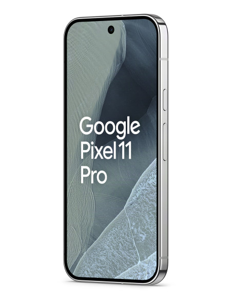 Google Pixel 11 Pro 256GB Fog